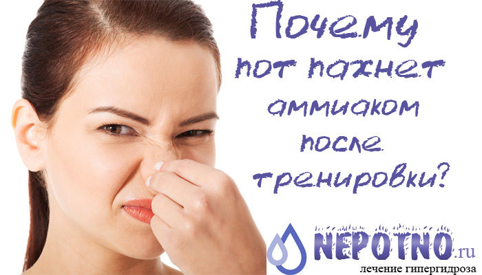 Почему пот пахнет аммиаком после тренировки
